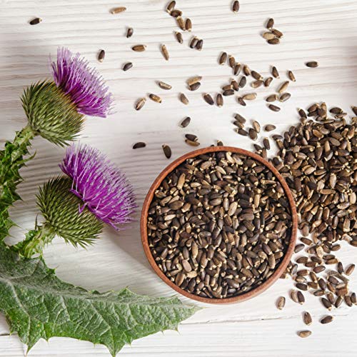 Semillas de cardo mariano (500g), 100% naturales, suavemente secadas, veganas
