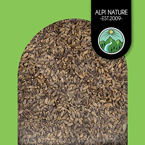 Semillas de cardo mariano (500g), 100% naturales, suavemente secadas, veganas
