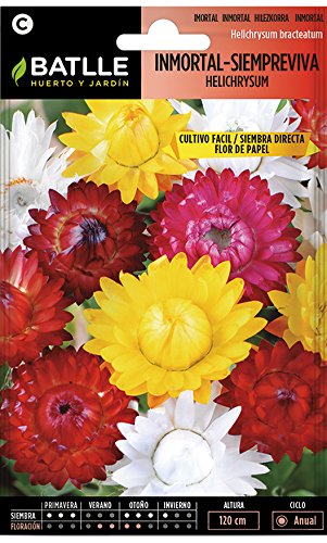 Semillas de Flores - Inmortal Siempreviva Flor de Papel variada - Batlle