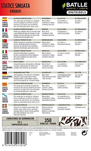 Semillas de Flores - Statice Sinuata variado - Batlle