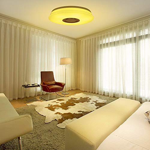ShangSky - Lámpara de techo led regulable, altavoz RGB con Bluetooth, música para dormitorio, con aplicación a distancia, para habitación de los niños, regalo, Blanco, 185-265v 40cm 60w
