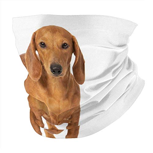 shenguang N A Brócoli sonriente divertido, pasamontañas de repollo Mascarilla de tela Reutilizable Lavable Ciclismo que cubre la cara Filtros transpirables Polainas de cuello Bandana Verano uv