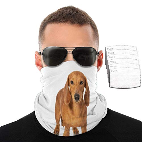 shenguang N A Brócoli sonriente divertido, pasamontañas de repollo Mascarilla de tela Reutilizable Lavable Ciclismo que cubre la cara Filtros transpirables Polainas de cuello Bandana Verano uv