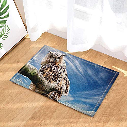 SHULI888 Cielo Azul Nubes Blancas Ramas Verdes búhos Marrones ojeras alfombras de baño esteras esteras esteras Entrada Interior Alfombra para niños 40X60 CM