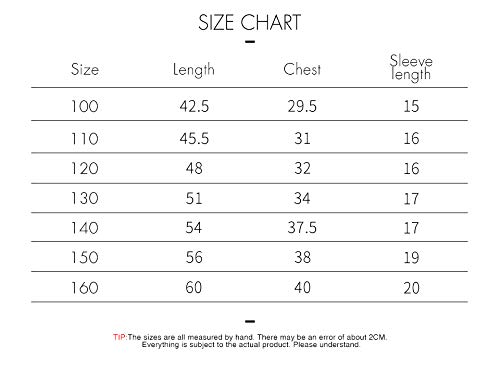 Silver Basic Camiseta de Sonic para Niños y Niñas Inspirada en la Popular Película Sonic The Hedgehog Sonic Cosplay Bonito Regalo para los Fanáticos del Cine 100,78Sonic The Hedgehog Cosplay-1