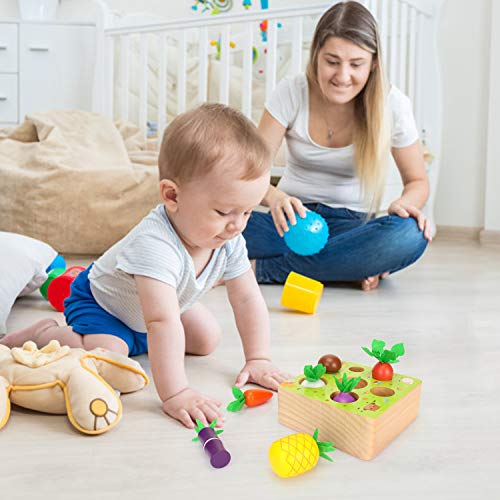 Sinwind Montessori Juguetes Niños Aprendizaje, Juegos Educativos de Granja Infantiles Ejercicio, Juguetes de Madera de 1 año de Edad, Juguetes educativos para niños
