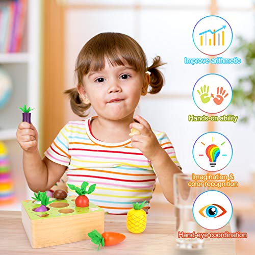 Sinwind Montessori Juguetes Niños Aprendizaje, Juegos Educativos de Granja Infantiles Ejercicio, Juguetes de Madera de 1 año de Edad, Juguetes educativos para niños