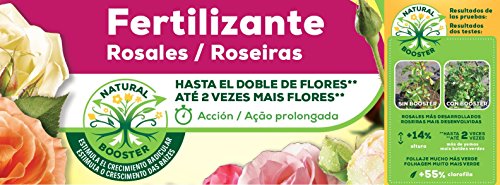 Solabiol - Fertilizante Rosales, 750 g