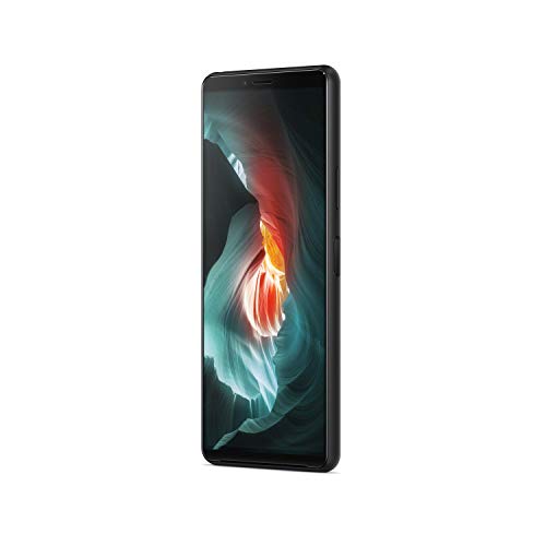 Sony Xperia 10 II - Teléfono móvil 21:9 de 6" (FHD, OLED, cámara Triple Objetivo, Android 10, Libre, 4 GB RAM, 128 GB, IP65/68 y Corning Gorilla Glass 6 en Cristal Frontal y Trasero), Negro