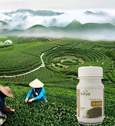 Sotya Té Verde 200 comprimidos (dos botes de 100 C/U) 500 Mg,  potente antioxidante, poder depurativo y desintoxicante, bueno para tu corazón, ayuda al control del peso, fortalece los huesos.