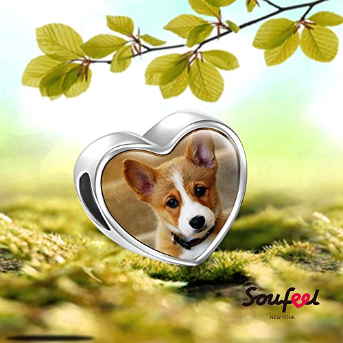 SOUFEEL Abalorio Charm Pulsera de Foto Personalizado Plata de Ley Navidad Cumpleaño y Aniversario para Madre Mujer Niña