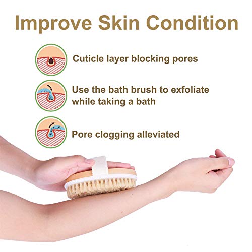Sportout 2 paquetes de cepillo corporal para cepillado en seco, exfoliante para ducha de baño, masajeador de celulitis de cerdas naturales