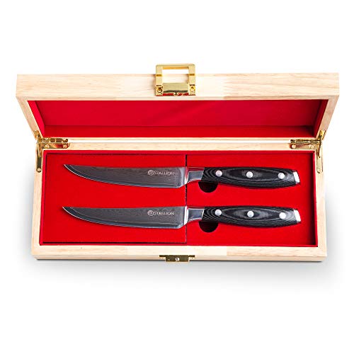 Stallion Cuchillo de Damasco Wave - 2 Cuchillos para Carne de Acero damasceno en una Elegante Caja de Regalo