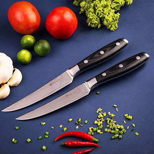 Stallion Cuchillo de Damasco Wave - 2 Cuchillos para Carne de Acero damasceno en una Elegante Caja de Regalo