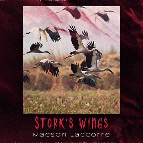 Stork's Wings