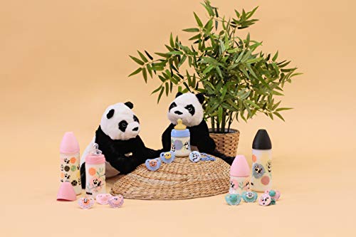 Suavinex - Pack de 2 Chupetes +18 Meses. Tetina Anatómica de Silicona 0% Bisphenol, Color Verde y Azul Diseño Panda