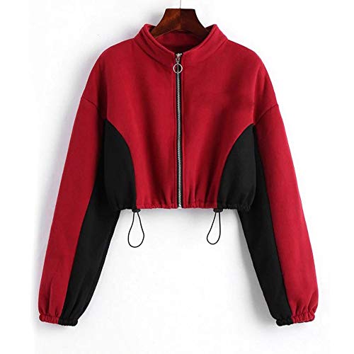 Sudadera con Capucha para Mujer,Moda Manga Larga Casual Patchwork Sudaderas de Cremallera Invierno Suéter Largo Mujer Jersey Mujer Tumblr Primavera Blusa Tops Abrigo Deportiva vpass