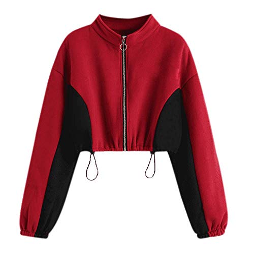 Sudadera con Capucha para Mujer,Moda Manga Larga Casual Patchwork Sudaderas de Cremallera Invierno Suéter Largo Mujer Jersey Mujer Tumblr Primavera Blusa Tops Abrigo Deportiva vpass