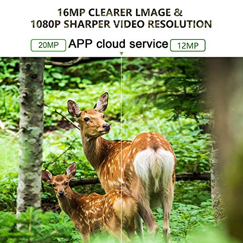 SUNTEKCAM Aplicación de teléfono Servicio en la Nube 4G Cámara de Caza 20MP 1080P Vida Silvestre Cámara IP66 Cámara de Caza Caza de visión Nocturna Invisible (batería de león 5000mAh*2) 801LTELIAPP