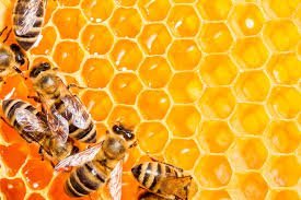 SUPER MANUKA MIEL ACTIVE MGO 400+ - 250 Gramos - Un efecto prebiótico que ayuda a mantener un sistema digestivo saludable y puede ayudar a promover bacterias beneficiosas