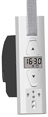 SuperRollo Professional SR10250 GW250 - Recogedor de cinta eléctrico (23 mm, fuerza de tracción máx.) 45 kg.