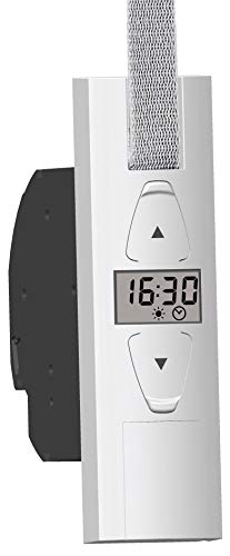 SuperRollo Professional SR10250 GW250 - Recogedor de cinta eléctrico (23 mm, fuerza de tracción máx.) 45 kg.