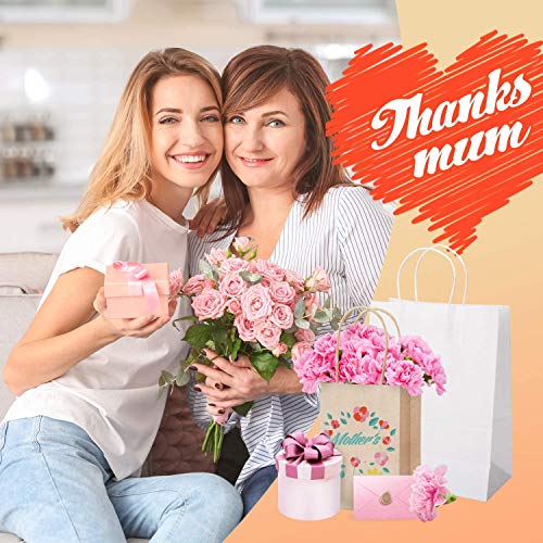 Switory Bolsa de papel Kraft de 100 piezas, bolsa de regalo de compras marrón de 20x12x26,5cm con asas retorcidas para fiesta, embalaje, personalización, transporte, venta al por menor, mercancía