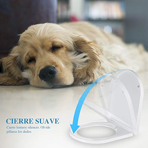 Tapa de WC, DALMO Polipropileno Asiento de inodoro con forma de D fabricado, asiento de inodoro con cierre suave que evita golpes, antideslizante y cierre rápido de 1 botón para una fácil