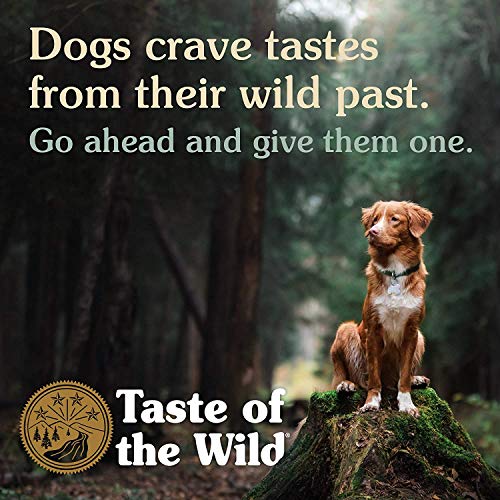 Taste Of The Wild pienso para perros con Bisonte y Venado asados 12,2 kg High prairie