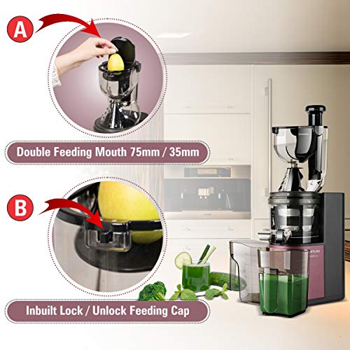 Taurus Liquajuice Pro-Licuadora extraccion en Frio (200 W, 43 RPM, Sistema antigoteo), Color Rosa