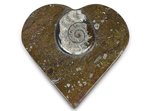 Taurus Zodiac Sign plata Insertar Thuya madera Jewllery/Píldora caja L 10 W6 H4 cm