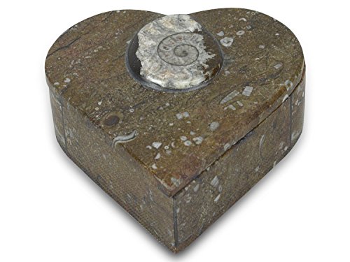 Taurus Zodiac Sign plata Insertar Thuya madera Jewllery/Píldora caja L 10 W6 H4 cm