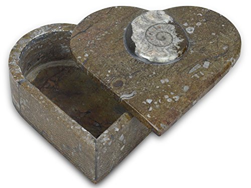 Taurus Zodiac Sign plata Insertar Thuya madera Jewllery/Píldora caja L 10 W6 H4 cm