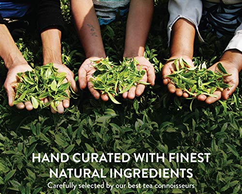 Teamonk Nilgiri té verde de cúrcuma - 50 bolsitas de té | hierbas antiguas | té para una piel radiante | té estimulante de la inmunidad | té de cúrcuma natural | sin aditivos