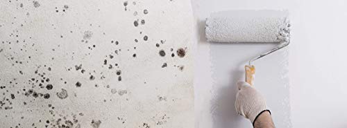 TECPINT ANTICONDENSACIÓN de Tecno Prodist - (2,3 Litros) - Pintura Anti-condensación y Anti-moho al Agua para Interior y Exterior - Paredes y Techos - Gran cubrición - Fácil Aplicación - (BLANCO)