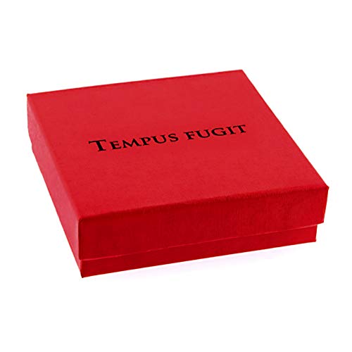 TEMPUS FUGIT. Regalo para la Hermana. Colgante/Collar de Acero Inoxidable Brillante Antialérgico, con Mensaje Grabado y Cadena de 50 cm