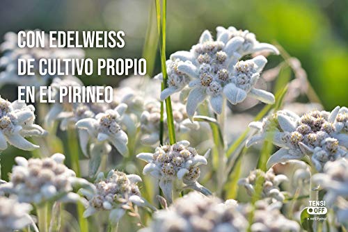 TENSI OFF Gel Calmante (Tubo de 200 ml) Gel de absorción rápida con árnica y edelweiss (ecológico)