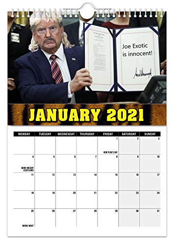 Tiger King - Calendario de pared 2021 // Divertido/extravagante/Navidad/Cumpleaños/Idea de regalo/Presente/Novedad/Humor/Secreto Santa/Planificador de año/Regalo de oficina