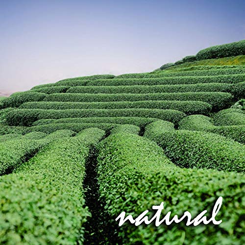 Tisanas Ayurvédicas. Relax. Blend. Con canela, jengibre, regaliz, piña, hojas de mora, naranja, hibisco, hinojo, pimienta rosa, clavo, flor de lúpulo, hypericum, manzanilla, cardamomo. 100 g.