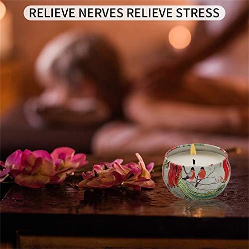 Tonsooze Vela Perfumadas, 8 Regalo de Velas Perfumadas Velas Perfumada Vainilla, Cera de Soja Natural para Relajación y Alivio de Estrés Aromaterapia Decoración Regalo para cumpleaños, Bodas y Navidad