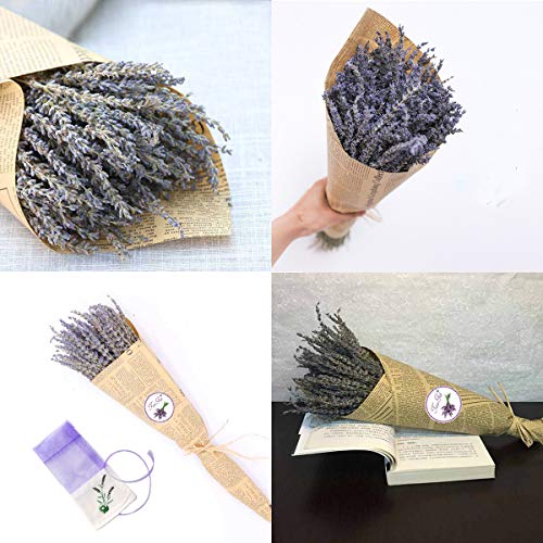 TooGet Flores de Lavanda Natural, Fragante Ramo de Lavanda Seca 100 Se Deriva de 40-45cm de Largo, Flores Decorativas Ramo de Flores para La Decoración del Hogar, Regalo, Boda o Cualquier Ocasión