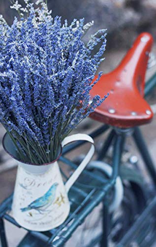 TooGet Flores de Lavanda Natural, Fragante Ramo de Lavanda Seca 100 Se Deriva de 40-45cm de Largo, Flores Decorativas Ramo de Flores para La Decoración del Hogar, Regalo, Boda o Cualquier Ocasión