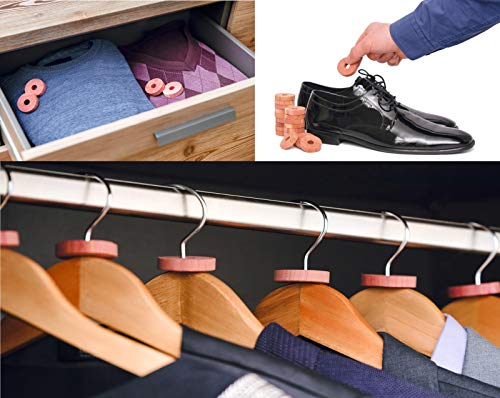 toolable 48x Protección antipolillas de Madera de Cedro para Armario y Perchas, incl. Papel de Lija GRATUITO sin Productos químicos, 100% Natural