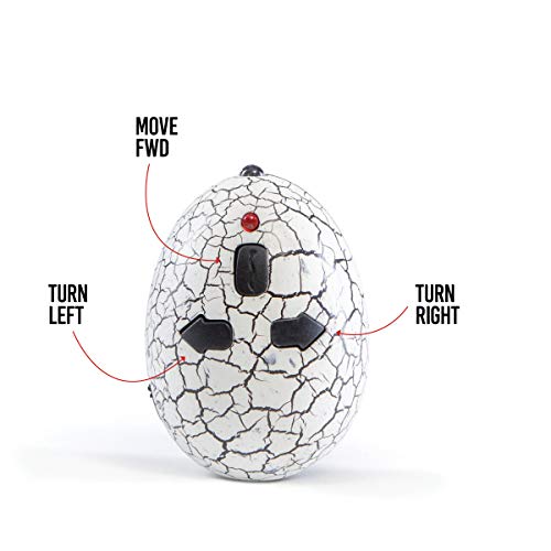Top Race® Serpiente Controlado por Radio con 3 Acciones de Movimiento Rápido, cola hostil y con lengua movible Juego de Broma y alegría (TR-A22)