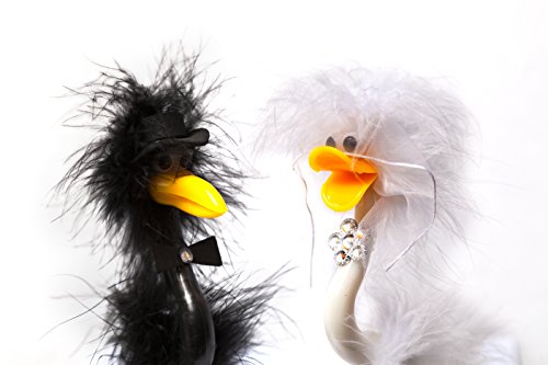 Top Toys 4U - Juego de bolígrafos para libro de firmas de boda (diseño de emú y avestruz vestidos de novio y novia)
