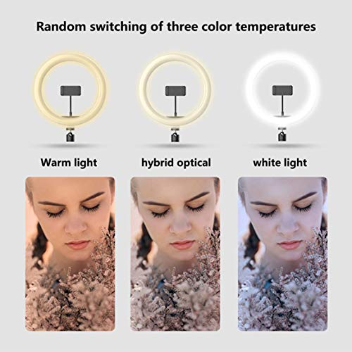 Transmisión en Vivo 26 cm luz de Relleno 10 Pulgadas LED Anillo de luz fotografía autodisparador trípode autodisparador artefacto Escritorio