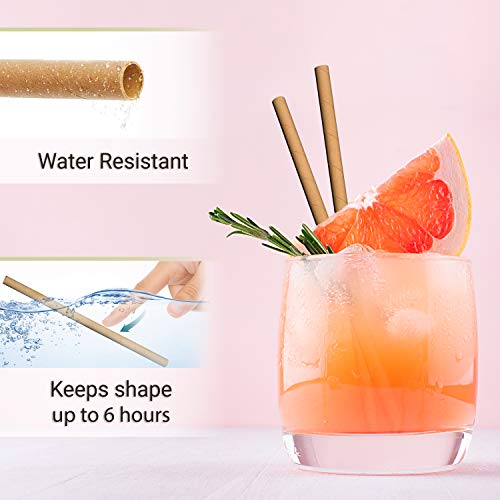 TREBA 400 Pajitas Biodegradables de Papel Kraft– Pajitas para Beber Sin Envueltas – Pajitas Desechables Sin Colorantes Para Cócteles, Bebidas Frías y Calientes – Pajitas Ecologicas Compostables Papel