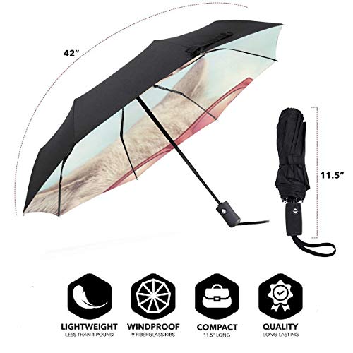 TYHG Paraguas automático Tri-Fold 3d impreso lindo gato con gafas de sol impermeable lluvia paraguas interior impresión para uso diario