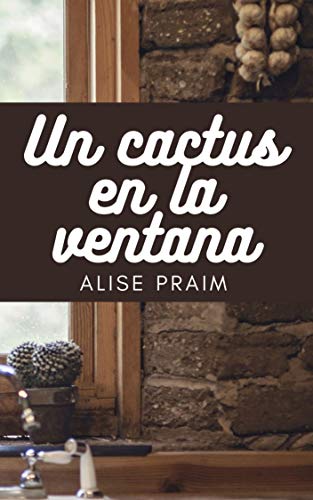 Un cactus en la ventana