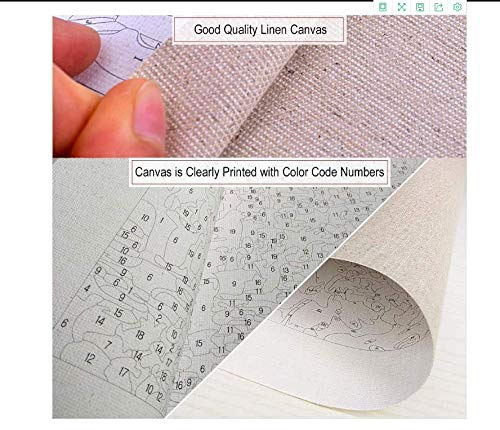 Vacio Pintar por Numeros Kits DIY Pintura por Números para Ojo Creativo y Mariposa Regalo para Adultos Niños DIY Pintura al óleo para Decoraciones para el Hogar 40*50 cm(Sin Marco)